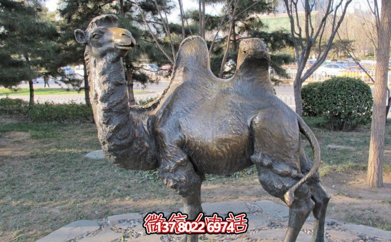 創意大型玻璃鋼駱駝雕塑,在草地上擺放,一眼回頭 創意大型玻璃鋼駱駝雕塑,在草地上擺放,一眼回頭